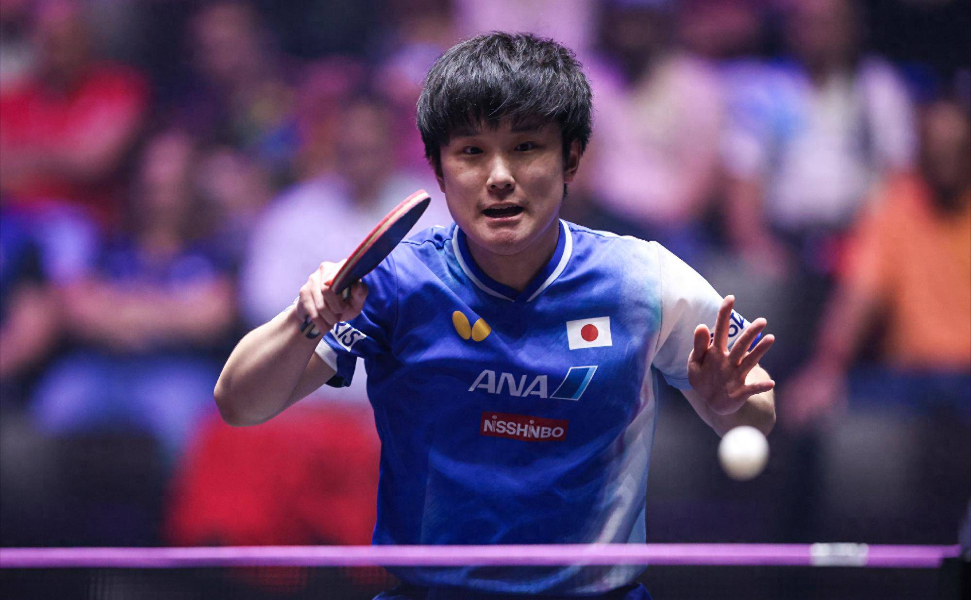 包含葡萄牙队险胜德国队，张本智和状态火热的词条